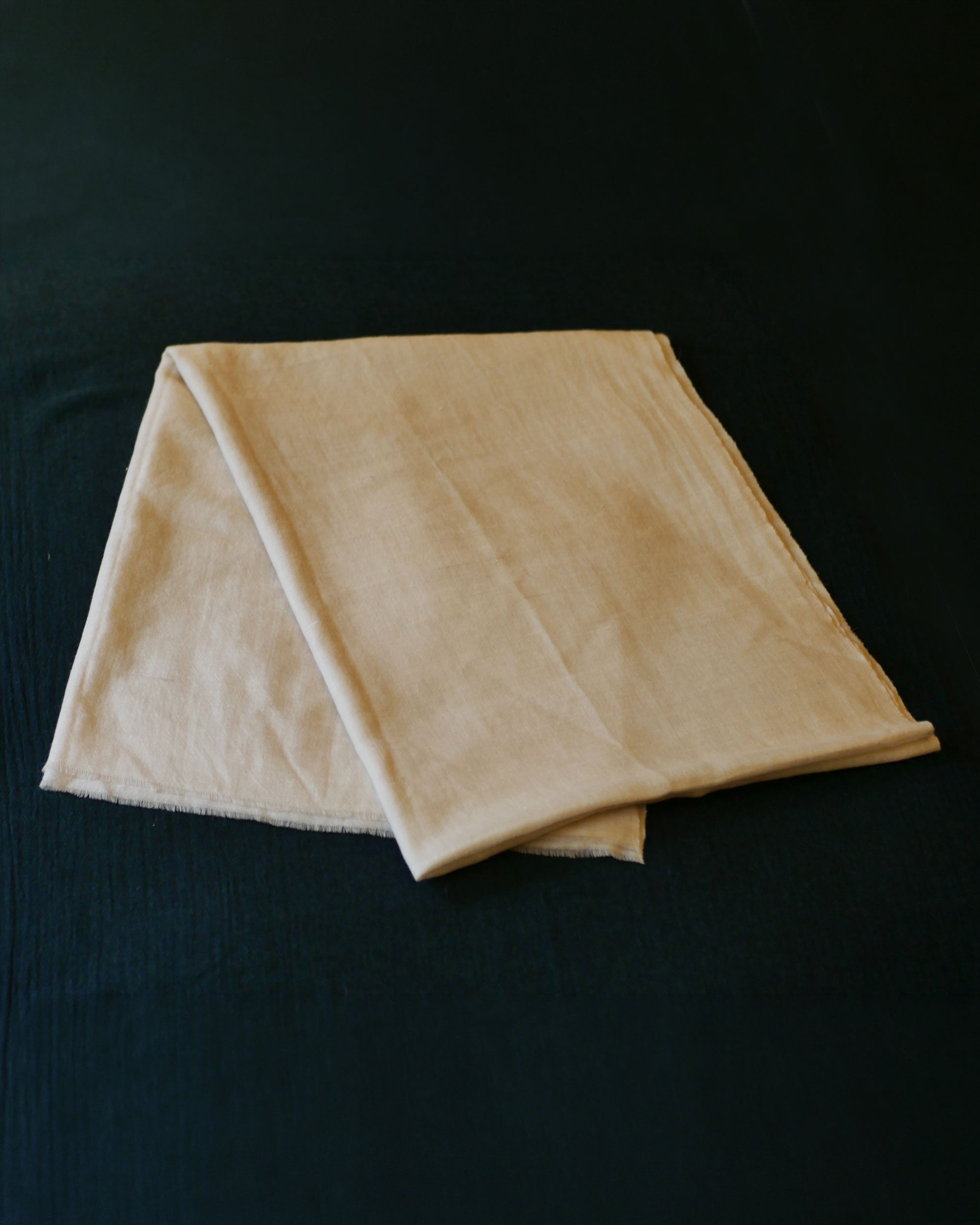 Pearl Ivory Pure Pashmina Shawl – Classic Plain Weave Kashmir